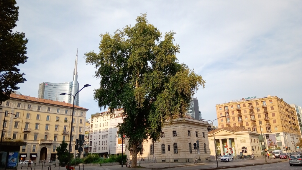 Agosto, in città, Milano